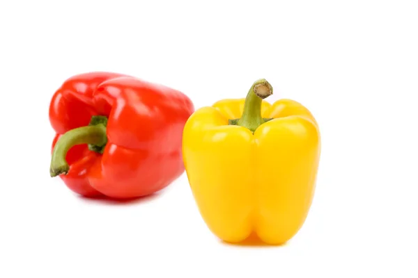 Två paprika — Stockfoto