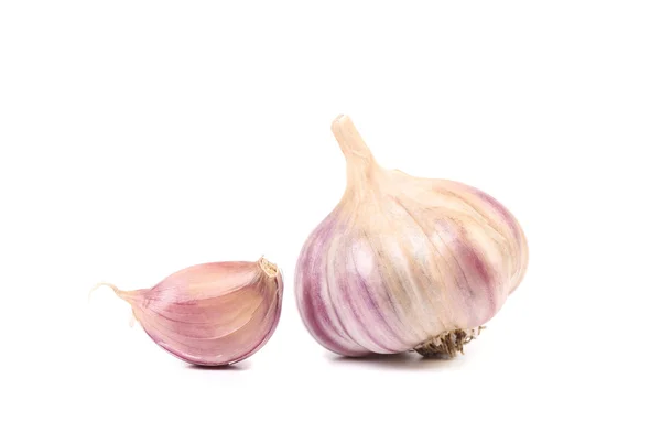 Frischer Knoblauch — Stockfoto