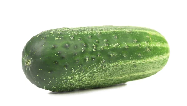 Single green cucumber — Stock Photo, Image