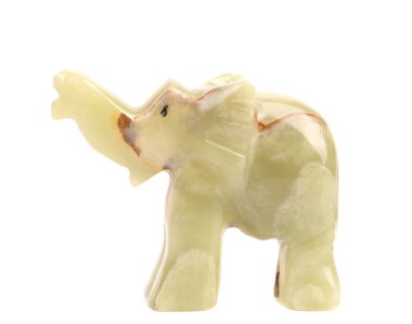 Yeşim fil önden görünümü.