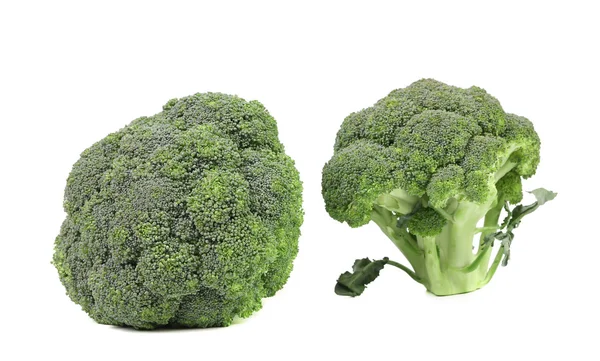 Twee verse broccoli close-up. — Stockfoto