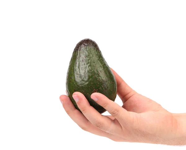 Hand houdt avocado. — Stockfoto