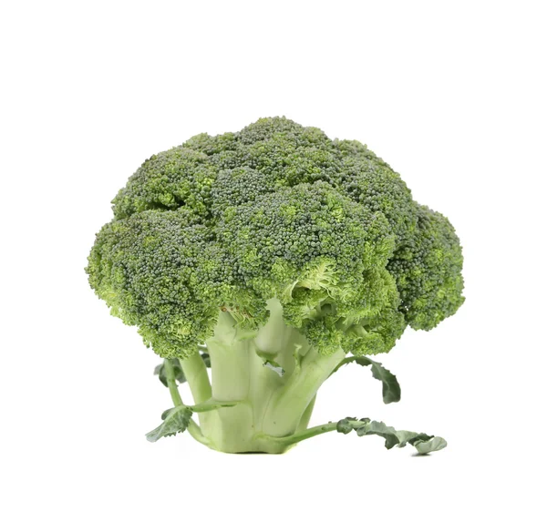 Färsk broccoli närbild. — Stockfoto