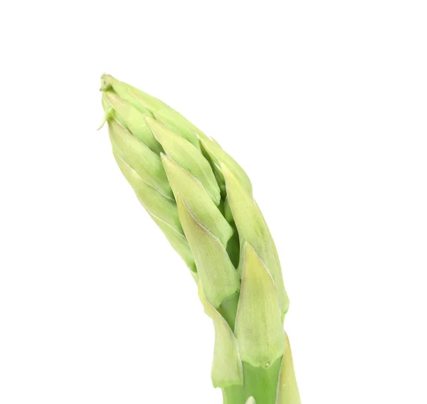 Close up van verse asperges speer. — Stockfoto