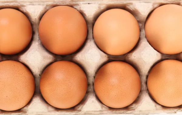 Brown eggs in egg box close up — Stock Photo, Image