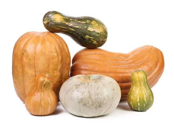 Composition of fresh orange pumpkin — Stock Photo, Image