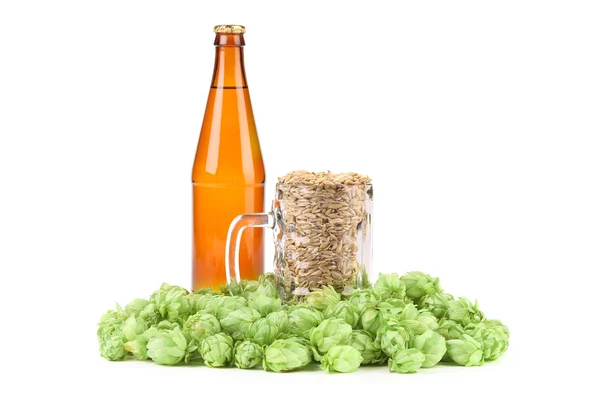 Beer bottle and mug with hop. — Stock Photo, Image
