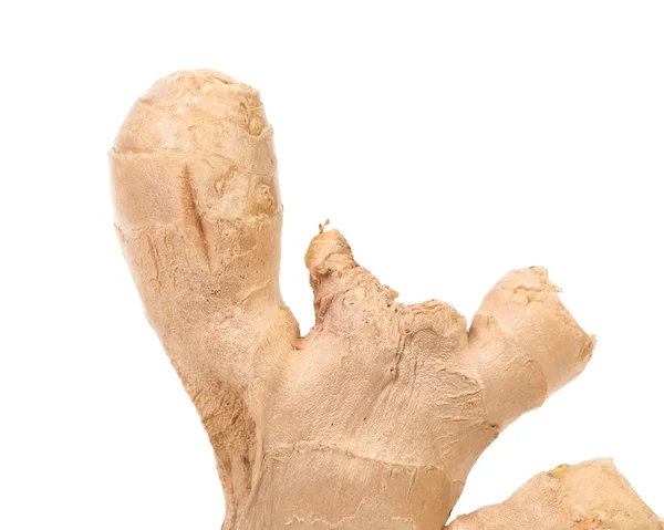 Close up of root ginger. — Stock Photo, Image