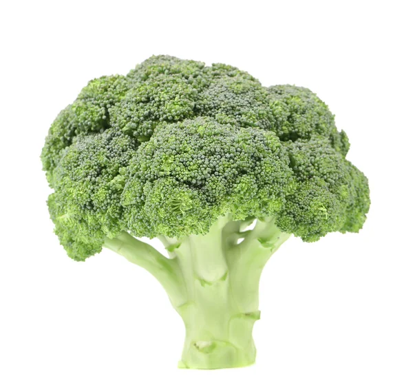 Broccoli vegetabiliska. — Stockfoto