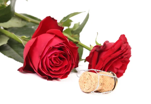两朵玫瑰花和 crok 的特写. — 图库照片