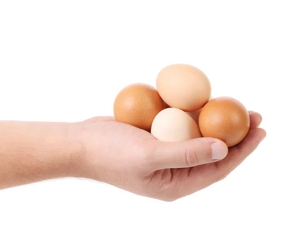 Kezében barna tojás — Stock Fotó