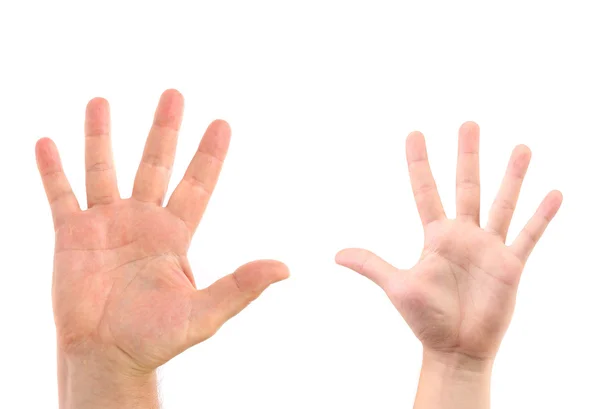 Duas mãos isoladas em branco — Fotografia de Stock