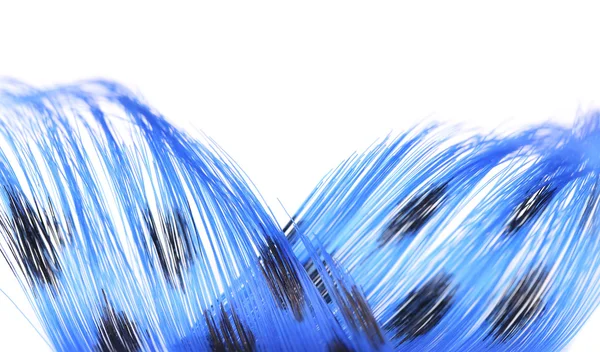 Fondo plumas azules — Foto de Stock