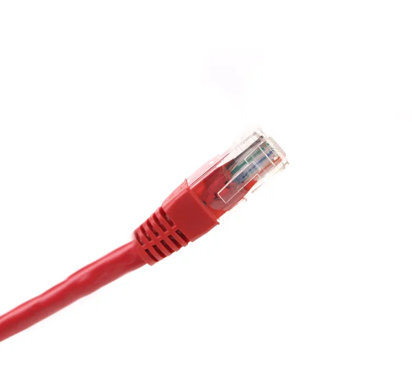 Cable de red. De cerca. . — Foto de Stock