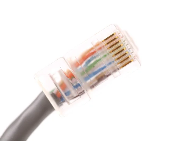 Network cable. Close up. — Stock Photo, Image