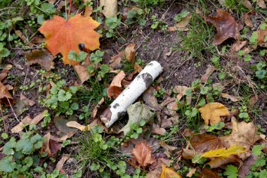 sonbahar renkli yaprakları ve bir günlük