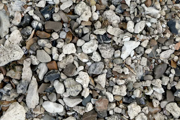 Small stones and pebble — Stock Photo, Image