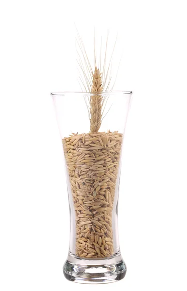 Tall glass full with wheat seeds and ear. — Stock Photo, Image