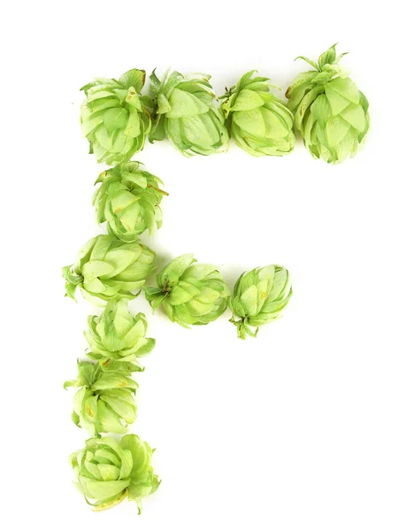 Hop flowers laid in form of letter F. — Stock Photo, Image