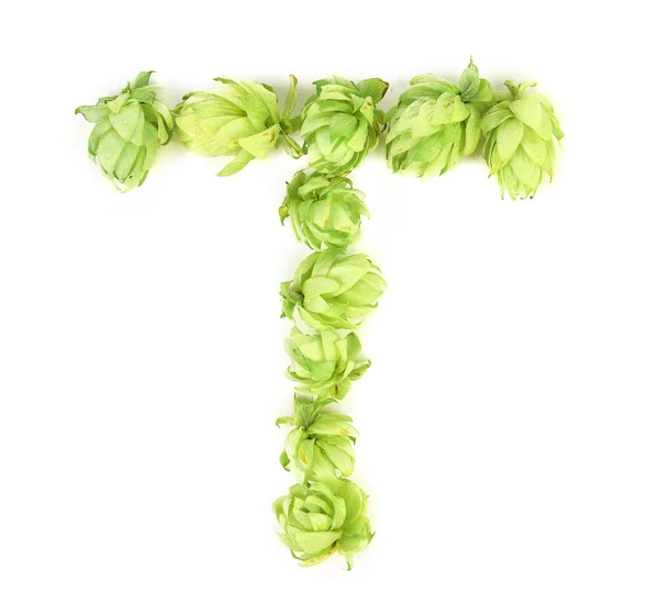 Echte hoppebloemen gelegd in de vorm van de letter t. — Stockfoto