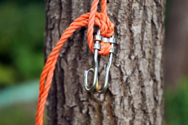 bir ip ile kahverengi ağaç yakın çekim.