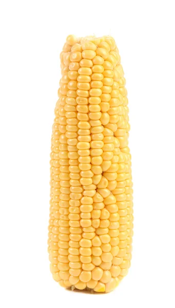 Close-up van verse maïs. — Stockfoto