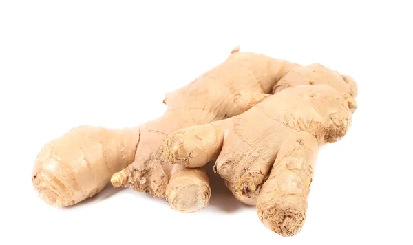 Close up of freshh ginger root. — Stock Photo, Image