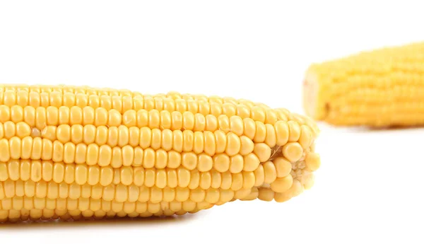 Zár-megjelöl-ból friss kukorica fül. — Stock Fotó