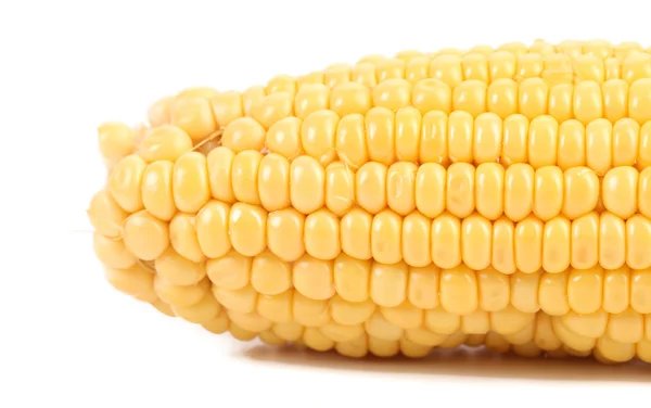 Крупним планом свіжа кукурудза . — стокове фото