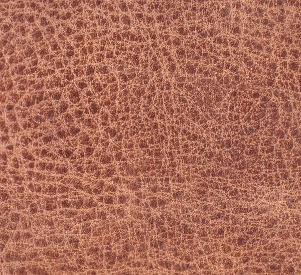 Close up of brown leather texture. — Stock Photo, Image