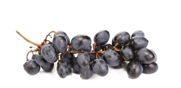 Крупный план черного спелого винограда . — стоковое фото