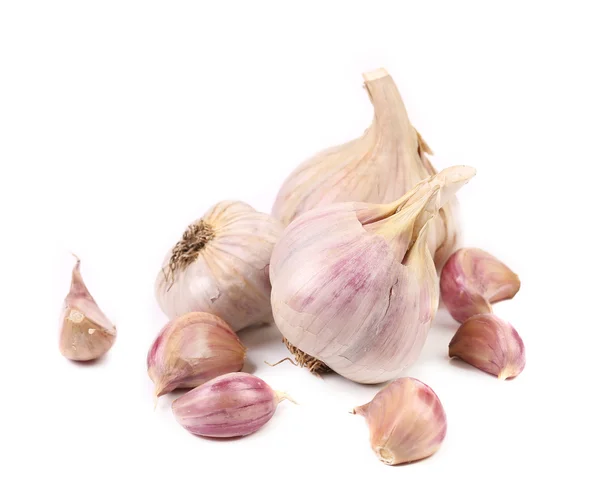 Close up of fresh garlic. — Stock Photo, Image