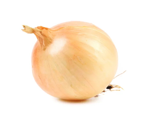 Close up of ripe onion. — Stock Photo, Image