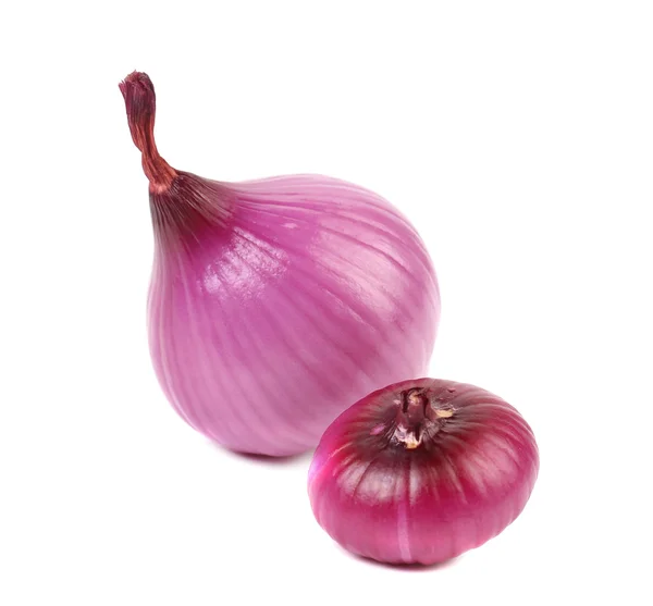 Close up of two red onions. — Stock Photo, Image