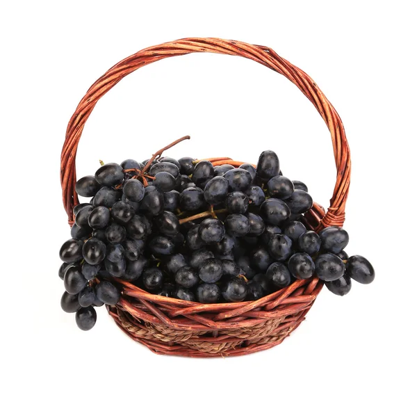 Zwarte rijpe druiven in mand. — Zdjęcie stockowe