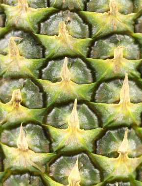 ananas deri arka plan. Makro.