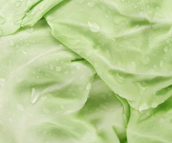 Close up of green cabbage. — Stock Photo, Image