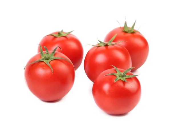 Bir avuç kırmızı domates.. — Stok fotoğraf