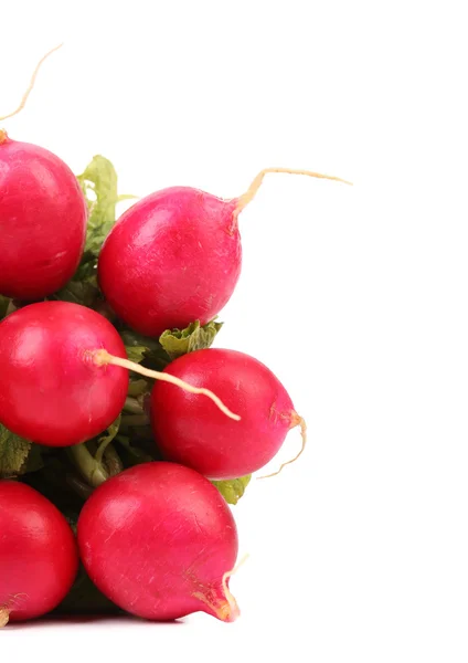 Small garden radish. — Stock Photo, Image