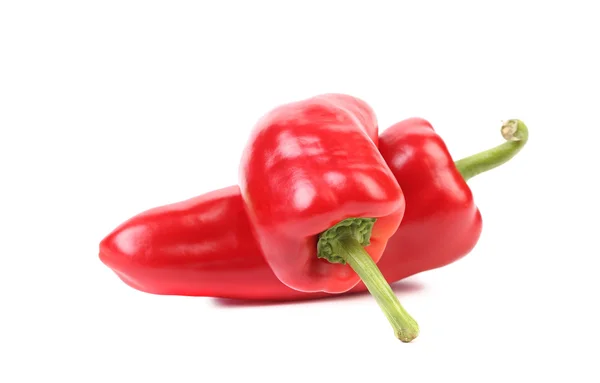 Dvě červené špičaté paprika. — Stock fotografie