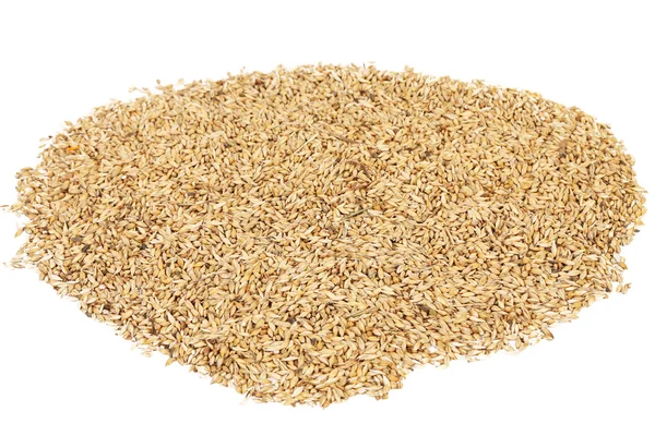 Close up of wheat grains — Stock Photo, Image