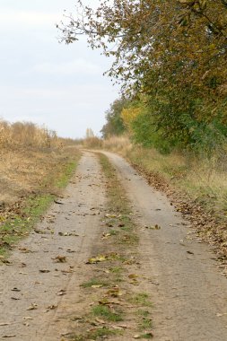 kırsal yol sonbahar görünümü