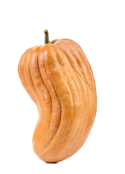 Zucca d'arancia fresca — Foto Stock