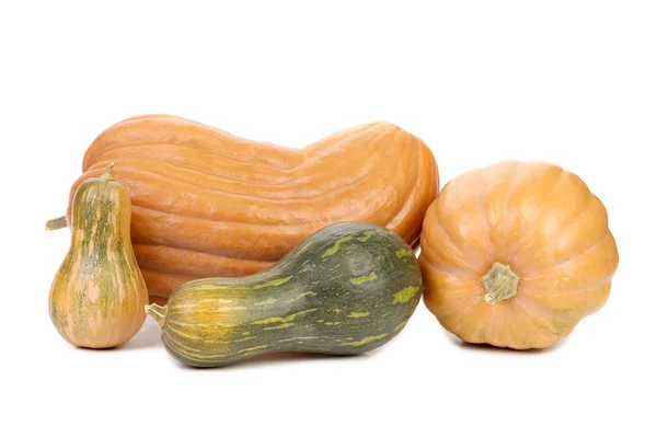 Composition of fresh pumpkins. — Stock Photo, Image