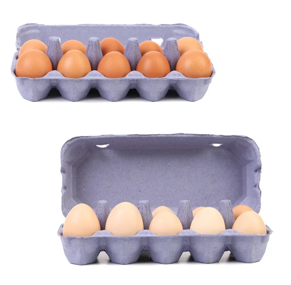 White and yellow eggs in blue egg boxes. — Stock Photo, Image