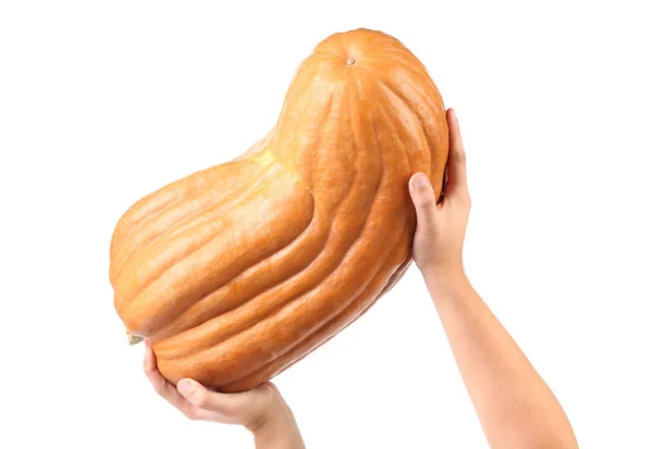 Le mani tengono la zucca arancione fresca — Foto Stock