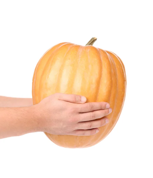 Hands hold fresh orange pumpkin — Stock Photo, Image