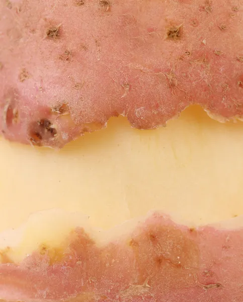 Peeled fresh potato. Close up — Stock Photo, Image