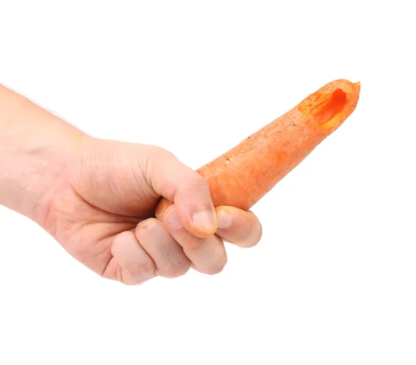 Mano sostiene zanahoria fresca — Foto de Stock