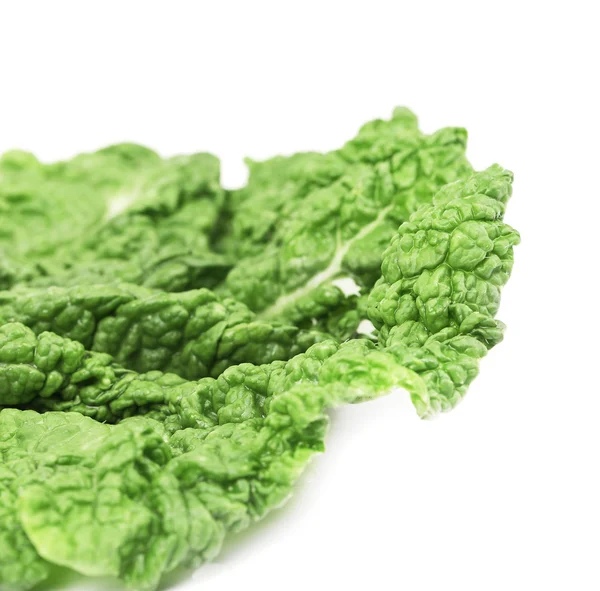 Leaf of chinese cabbage close up — Stock Photo, Image